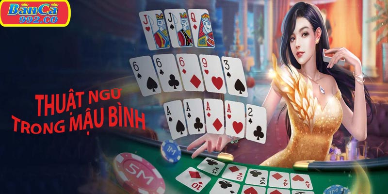 Những thuật ngữ dễ hiểu của mậu bình